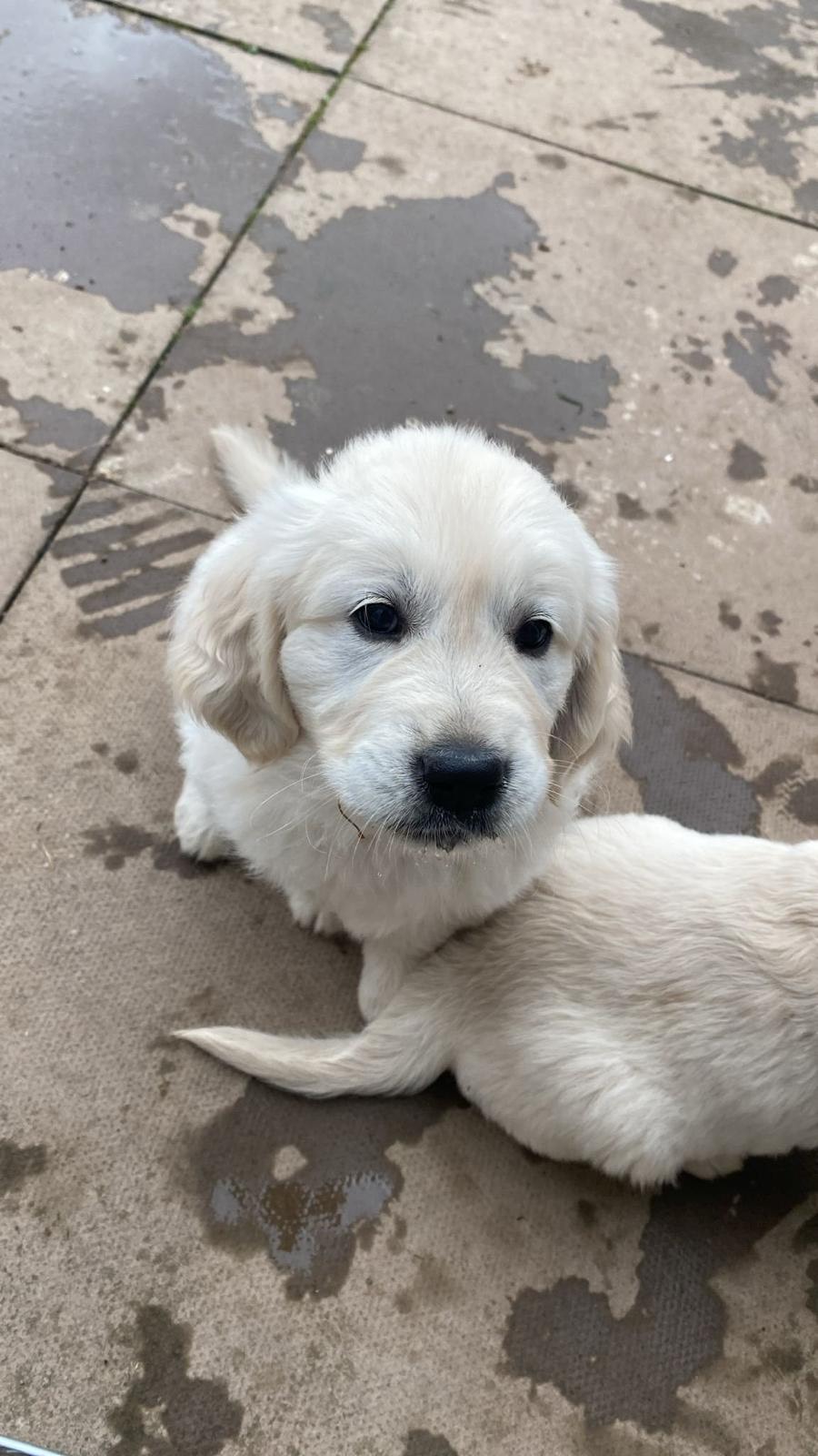 0f7f81cb 00dc 4f9c ac17 8bfdf9558d8a Home