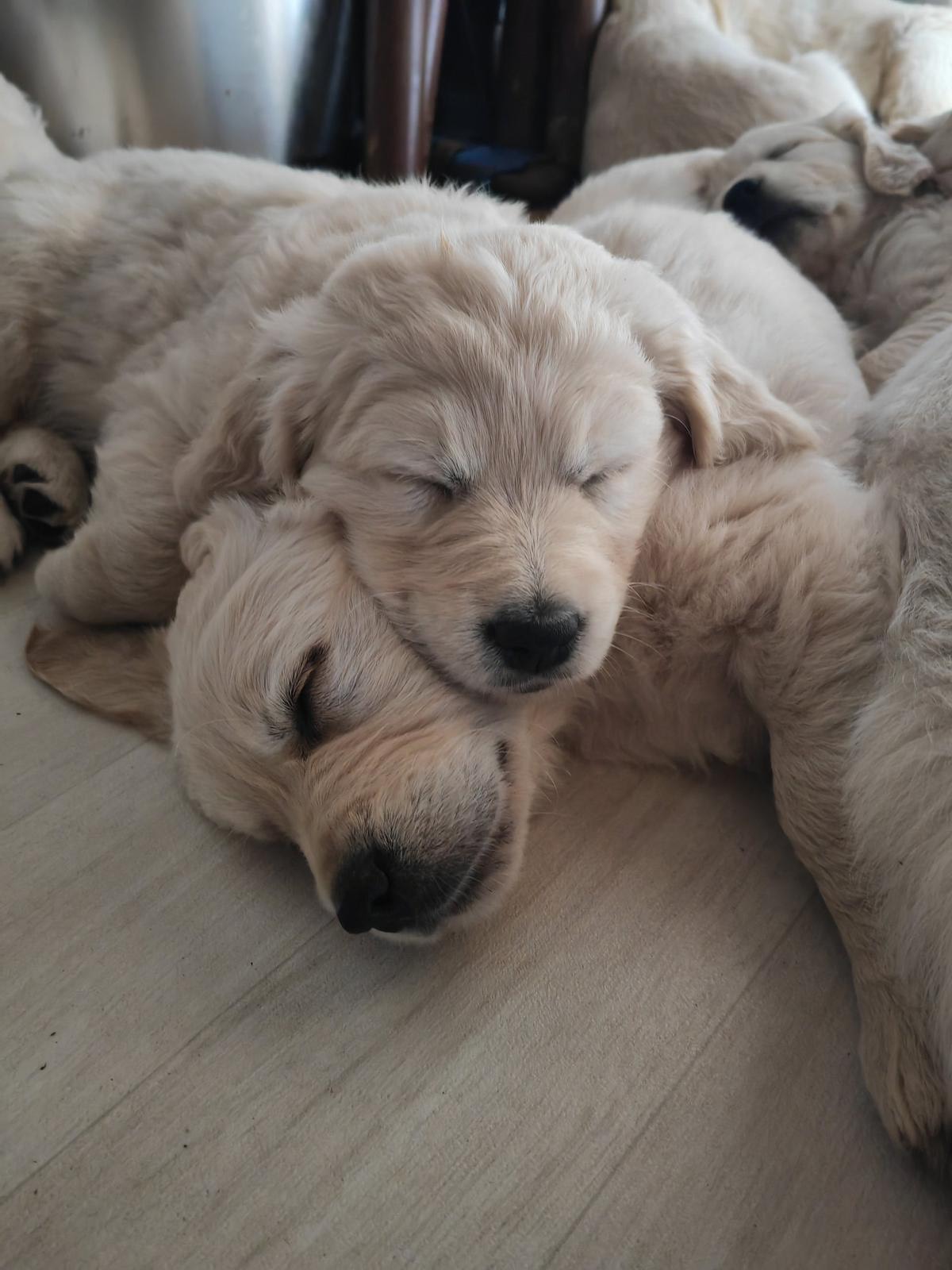 1b3184be 98bc 42a7 852f 83519470e729 Home