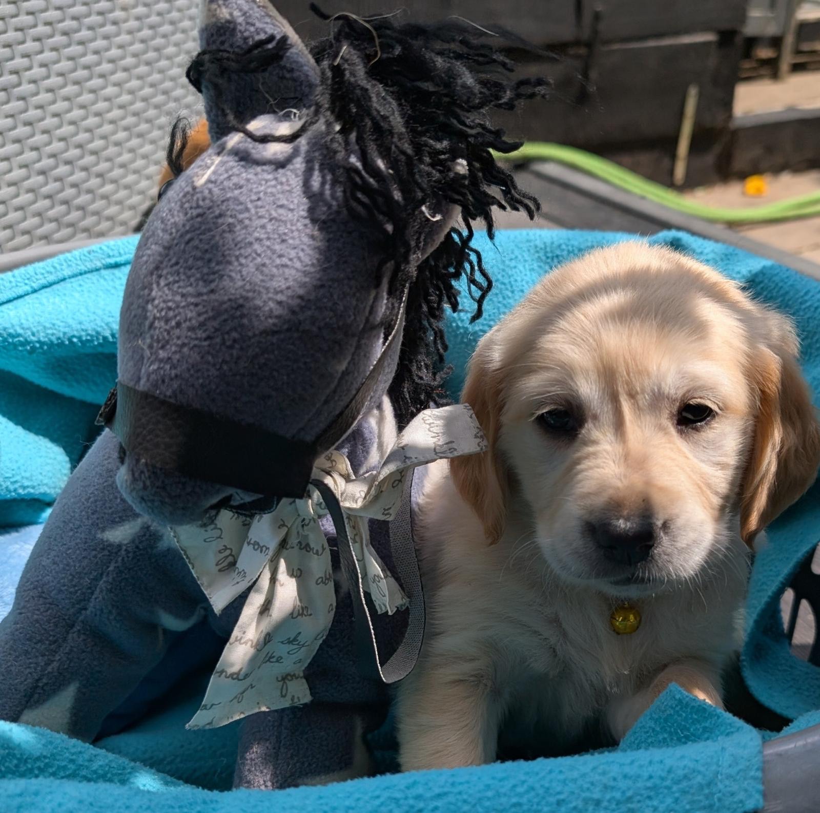 9fa39d10 c344 4650 8f7d 27e49542bc87 Home